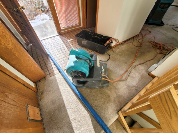 Professional Water damage restoration in Connell, WA